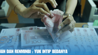 yuan dan renminbi