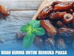 Sehatnya Buah Kurma Untuk Berbuka Puasa