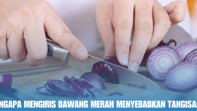 bawang merah