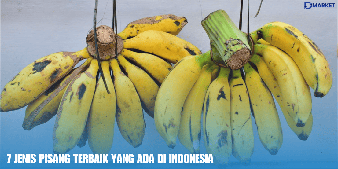 pisang terbaik