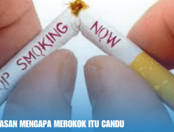 Analisis Alasan Mengapa Merokok Itu Candu