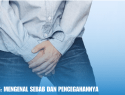Mikropenis: Mengenal Sebab Dan Pencegahannya