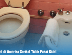 Alasan Toilet di Amerika Serikat Tidak Pakai Bidet