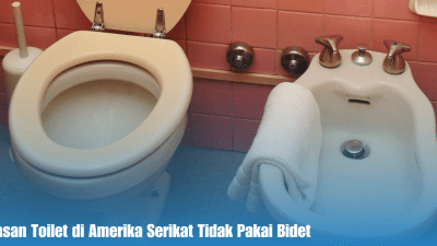 Amerika Serikat