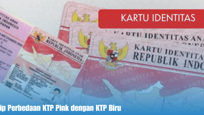 Intip Perbedaan KTP Pink dengan KTP Biru
