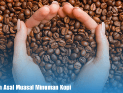 Sejarah Dan Asal Muasal Minuman Kopi