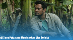 Panji