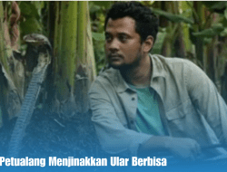 Panji Sang Petualang Menjinakkan Ular Berbisa