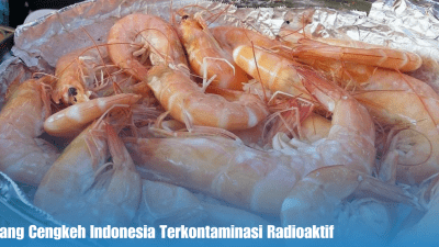 Radioaktif