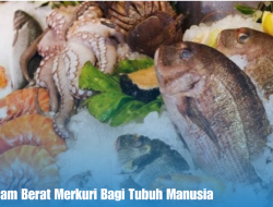 Bahaya Logam Berat Merkuri Bagi Tubuh Manusia