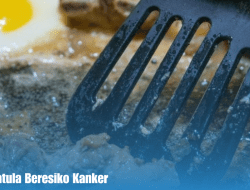 Ciri Ciri Spatula Beresiko Kanker