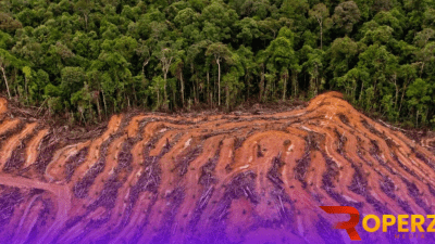 Dampak dan Bahaya Masifnya Penebangan Hutan Bumi
