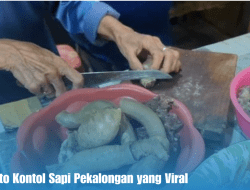 Berburu Soto Kontol Sapi Pekalongan yang Viral