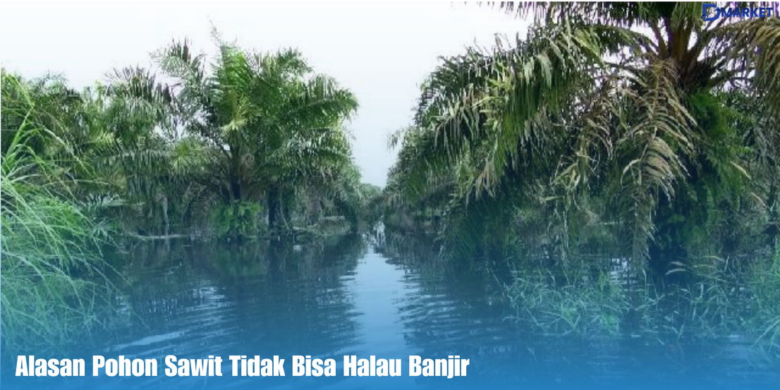 Sawit