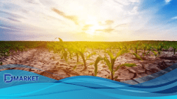 Prediksi El Nino 2026: Kemarau Akan Lebih Kering dan Panjang