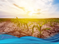 Prediksi El Nino 2026: Kemarau Akan Lebih Kering dan Panjang