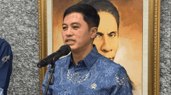 Wamenkes RI Ajak Dokter Terapkan Kerja dari Rumah, Kenapa?