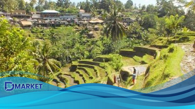 Ubud Dikenal Sebagai Destinasi Tropis Favorit Hollywood