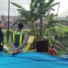 Penyebab Kecelakaan Avanza dan KA Argo Bromo di Grobogan yang Tewaskan 4 Orang