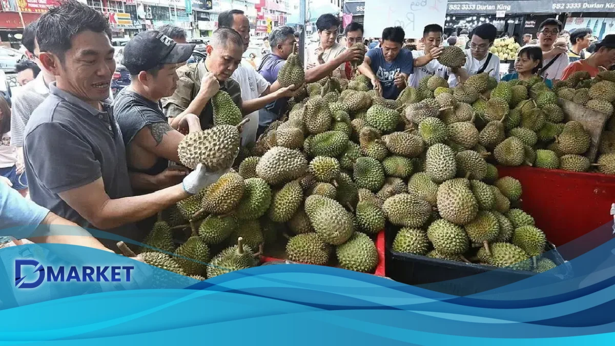 Harga Musang King Anjlok, Warga Kalbar Siap Nikmati Durian Tsunami