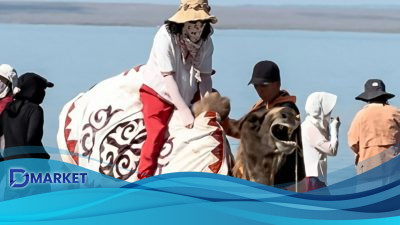 Unta Merintih dan Menangis Saat Ditunggangi Turis, Netizen Protes
