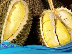 Wakil Menteri Pertanian Vietnam Ditangkap Usai Skandal Ekspor Durian