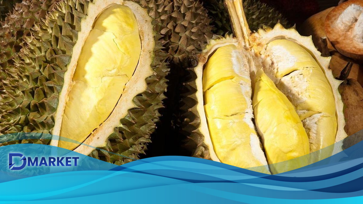 Wakil Menteri Pertanian Vietnam Ditangkap Usai Skandal Ekspor Durian
