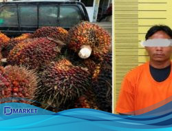 Polsek Kerumutan Gagalkan Pencurian 570 Kg TBS di Pelalawan