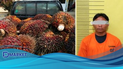 Polsek Kerumutan Gagalkan Pencurian 570 Kg TBS di Pelalawan