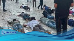 Tim Media Peringatkan Kejahatan Israel Terhadap Kemanusiaan!